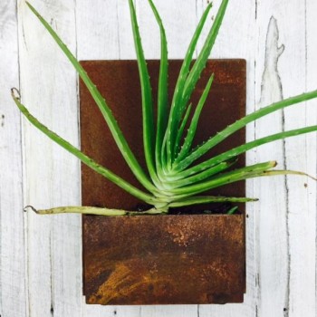 RUSTY RECYCLED METAL PLANTER BOX