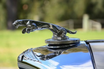 Jaguar Mark V Convertible