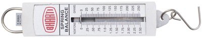 Economy Spring Balance Dual Scale 100g/1