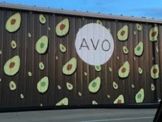 AVO-AVO Nashville