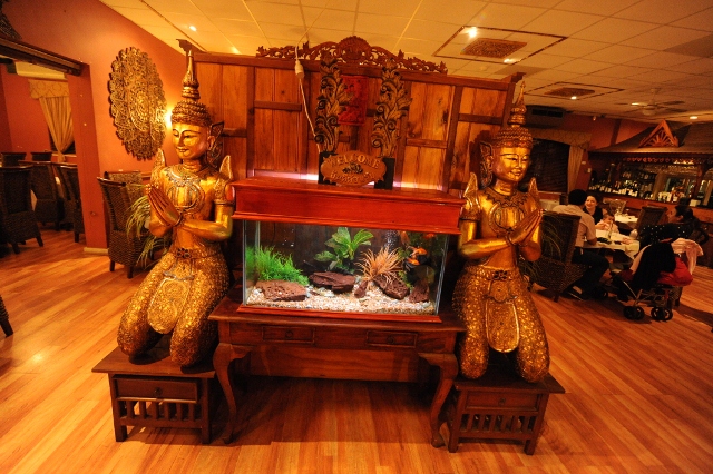 Lanna Thai Cuisine