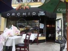 orchid thai cuisine