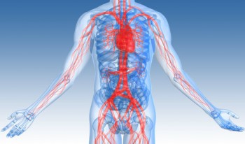 Specialist and Experienced Surgeon for Vascular Surgery Service