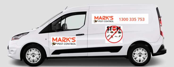 Mark's pest control local pest control