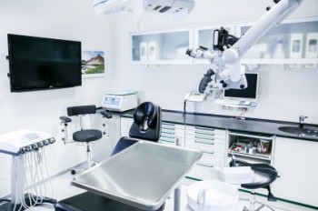 Find Paediatric Dentist Sydney