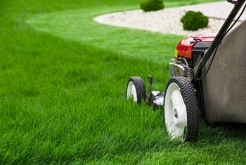 Lawn mowing western sydney