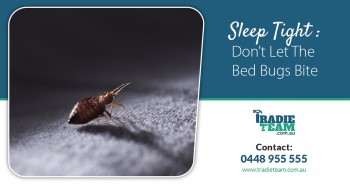 Bed Bugs Control in Melbourne for a Peaceful Night Sleep