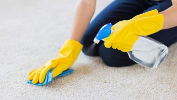 Best Carpet Cleaning Gold Coast