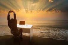 Ditch the Office - Online Business