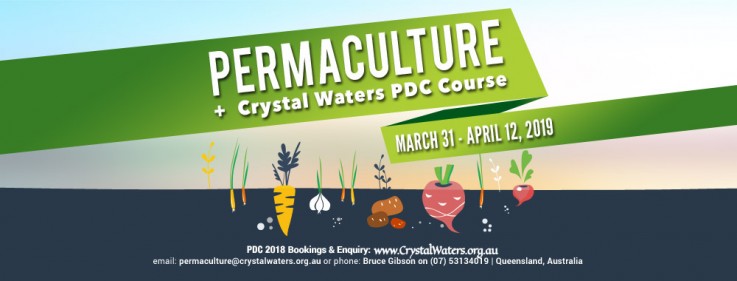 Design Course in Permaculture