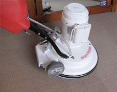 best carpet cleaning sydney