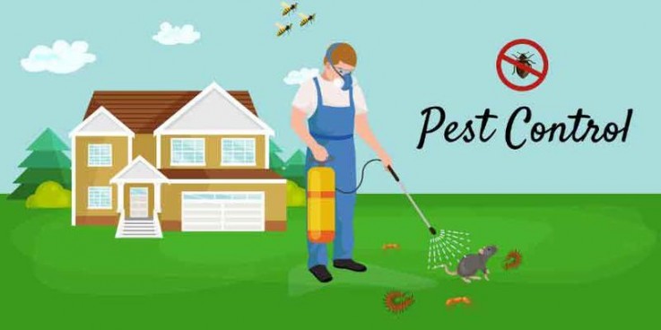 Organic Pest Control Canberra