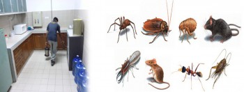 Commercial Pest Control Melbourne