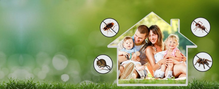 Commercial Pest Control Melbourne