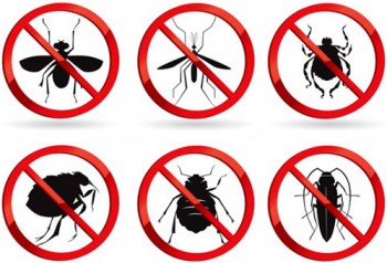 Residential Pest Control Perth