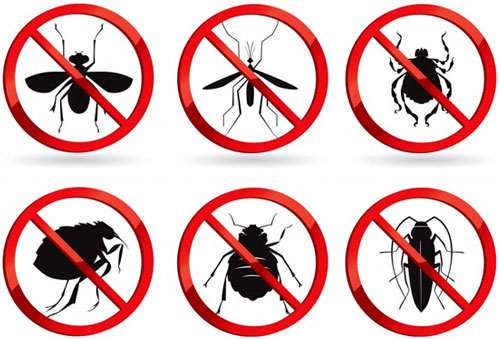 Residential Pest Control Perth