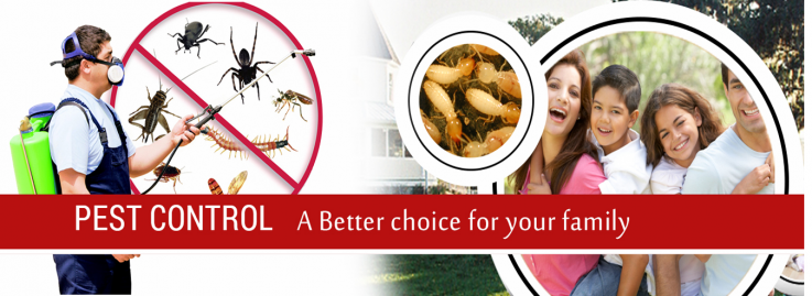 Residential Pest Control Perth