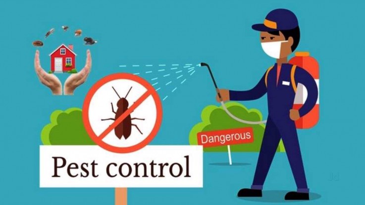 Residential Pest Control Brisbane