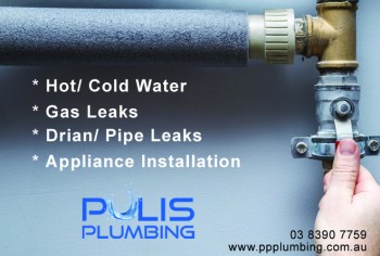 Pulis Plumbing