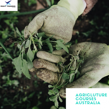 Learn agriculture diploma and short courses to expert in farming