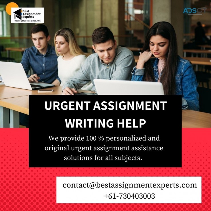 Urgent assignment writing help By Highly Experienced Experts