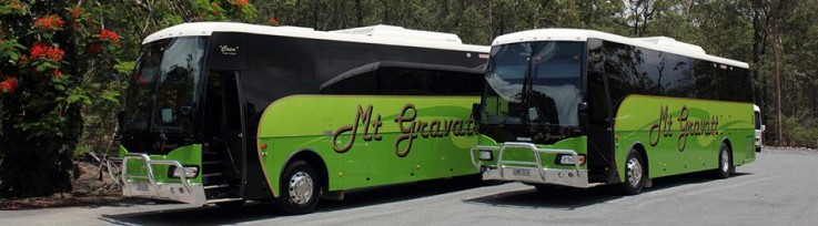 Mt Gravatt Bus Service