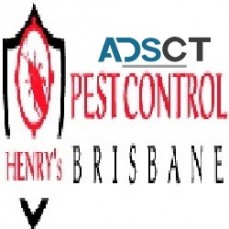 Pest Control Brisbane