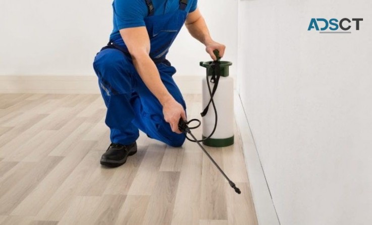 Pest Control Brisbane