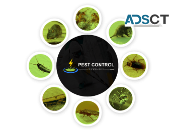 Pest Control Gungahlin