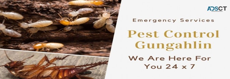 Pest Control Gungahlin