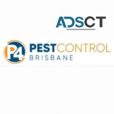 Professional Pest Control Brisbane