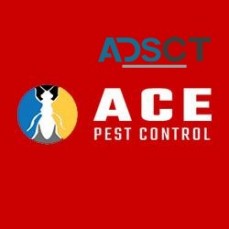 Pest Control Frankston