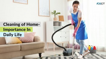 Professional cleaning services