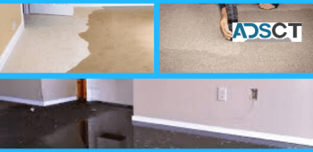 Flood Damage Restoration Service in Brisbane