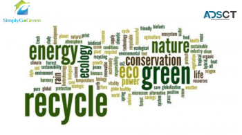 Impact of Eco-friendly products 