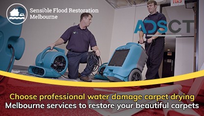 Flood Damage Restoration Woolamai