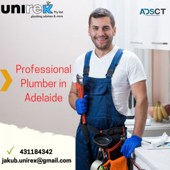 When Choosing a Professional Plumber in 