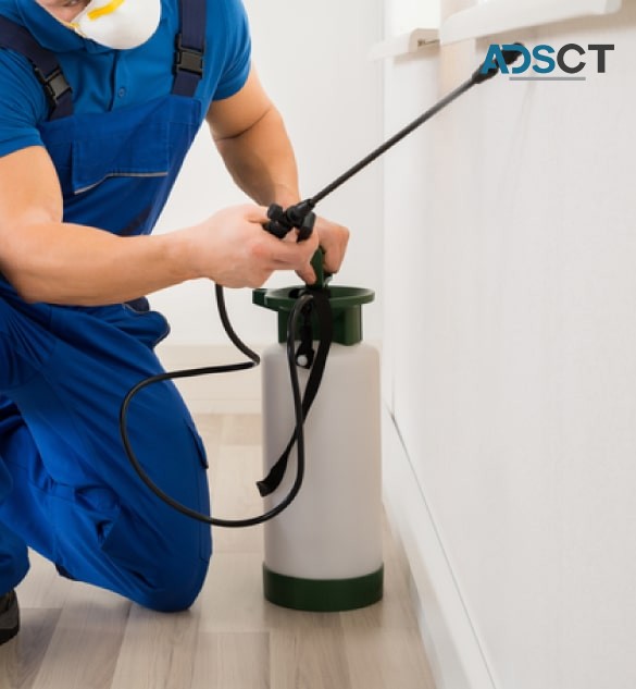 Pest Control Canberra