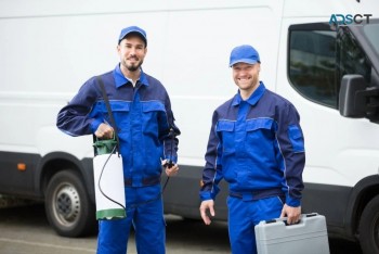 Best Services of Pest Inspection in Adelaide