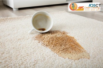 How to Remove Coffee Stains from Carpet?