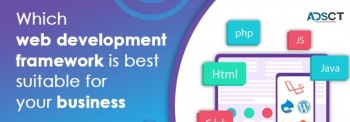 Which web development framework is best 