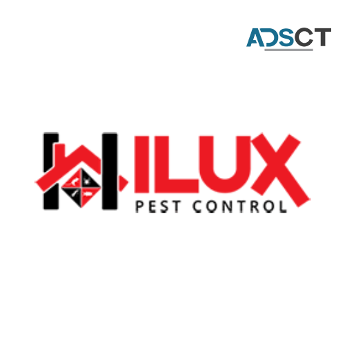 Affordable Commercial Pest Control