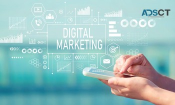 Searching For Top digital marketing company in delhi NCR? 