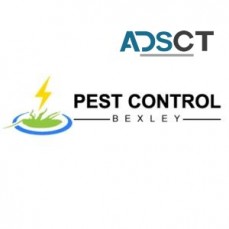 Pest Control Bexley