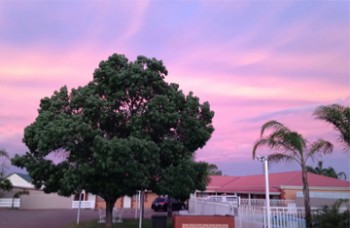 Charles Rasp Motor Inn & Cottages