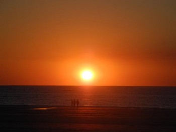 Zanders at Cable Beach