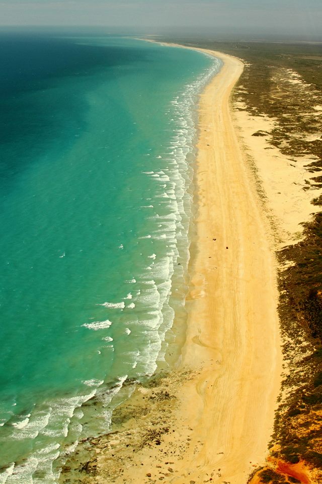 Zanders at Cable Beach