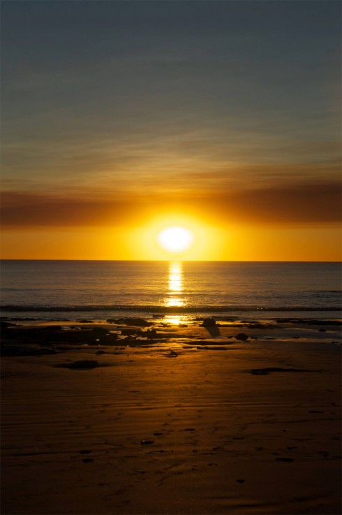 Zanders at Cable Beach