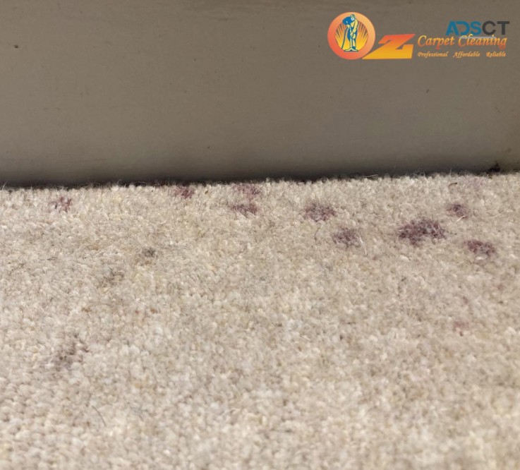 How To Clean The Dirty Black Edges On Your Carpet