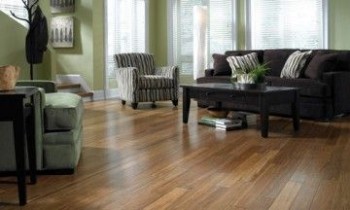 Adelaide Professional Floors